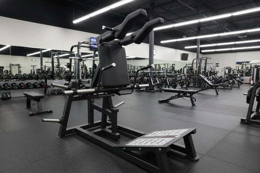 SFE Plate-Loaded Power Squat & Hack Squat Machine