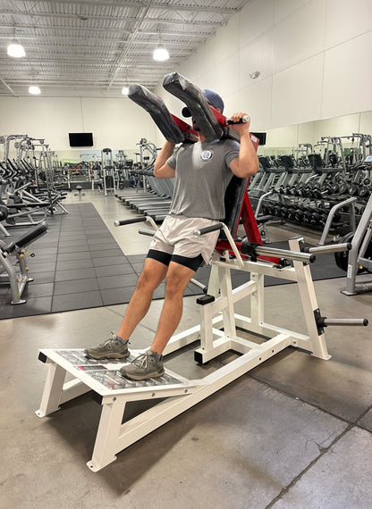 SFE Plate-Loaded Power Squat & Hack Squat Machine