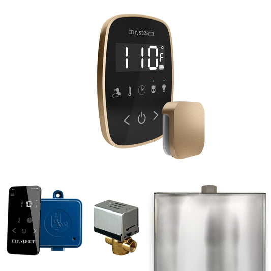 Mr. Steam ButlerFlex Steam Shower Control Package with TempoFlex Control and Aroma Steamhead