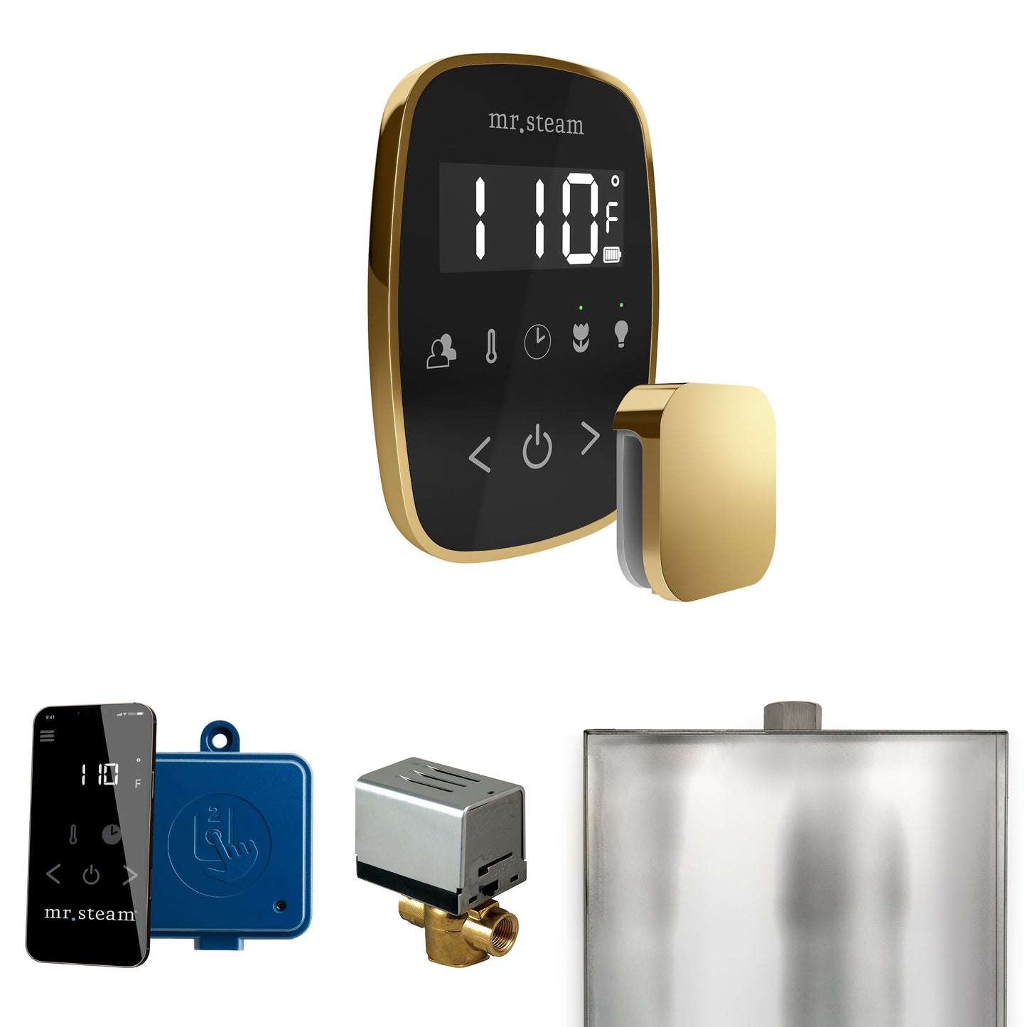 Mr. Steam ButlerFlex Steam Shower Control Package with TempoFlex Control and Aroma Steamhead
