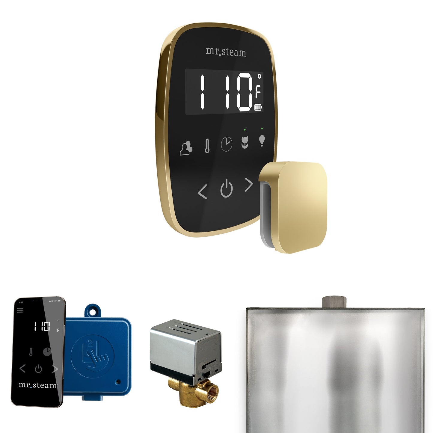Mr. Steam ButlerFlex Steam Shower Control Package with TempoFlex Control and Aroma Steamhead