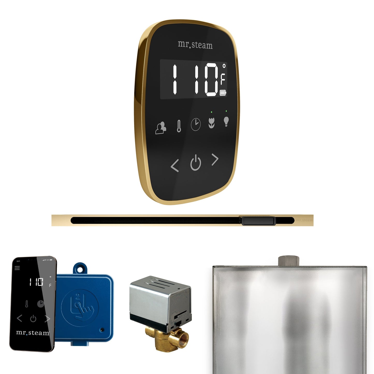 Mr. Steam ButlerFlex Steam Shower Control Package with TempoFlex Control and Linear Steamhead
