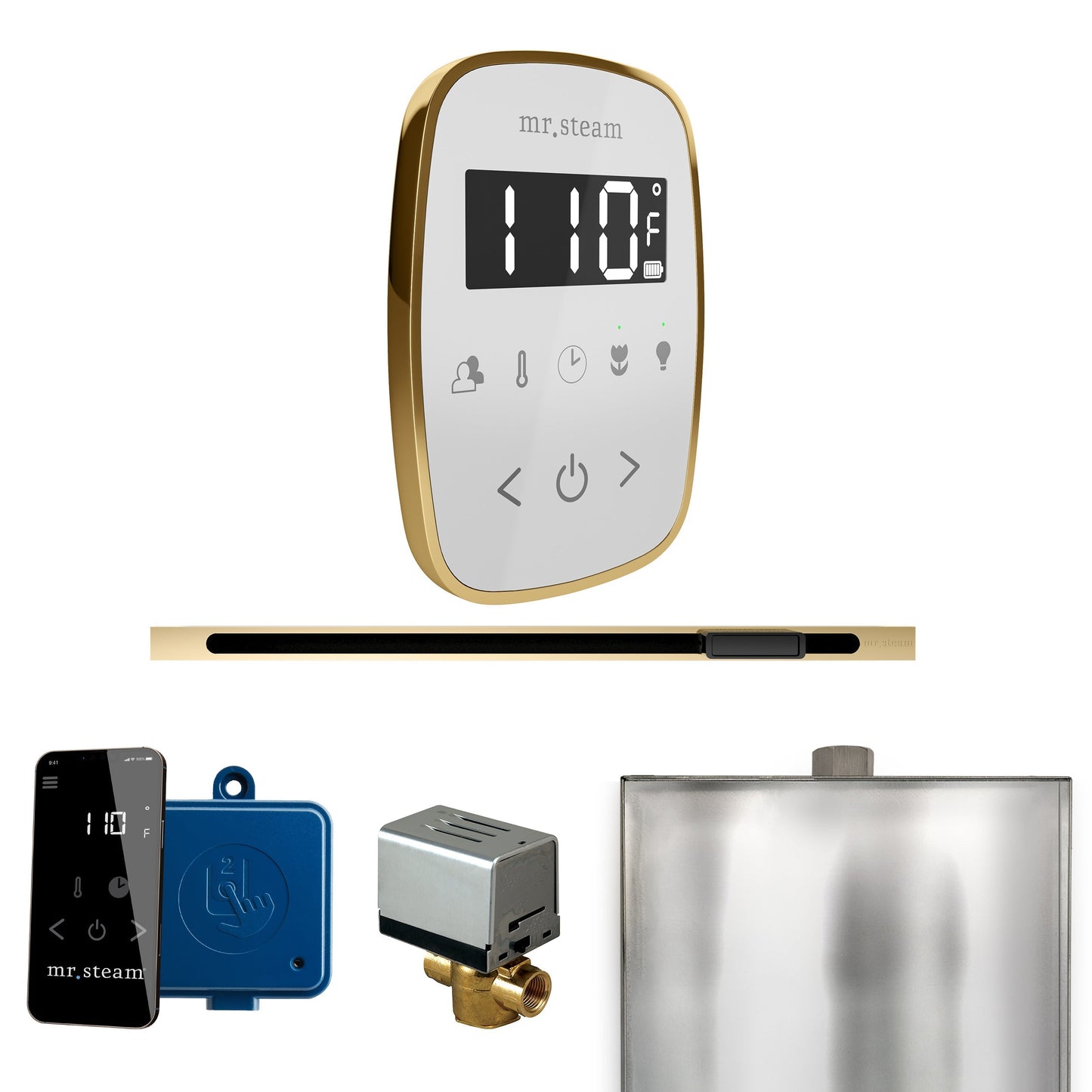 Mr. Steam ButlerFlex Steam Shower Control Package with TempoFlex Control and Linear Steamhead