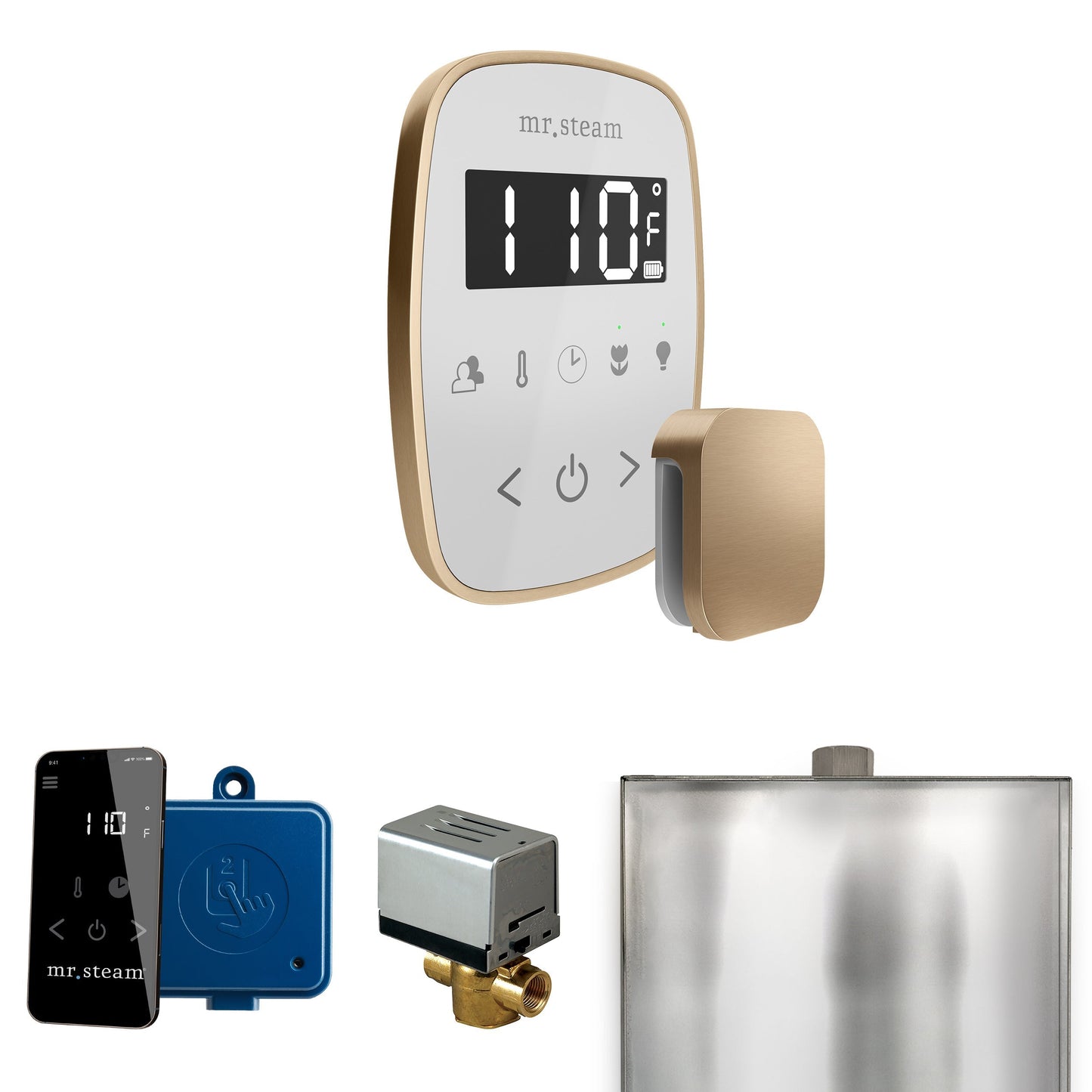 Mr. Steam ButlerFlex Steam Shower Control Package with TempoFlex Control and Aroma Steamhead
