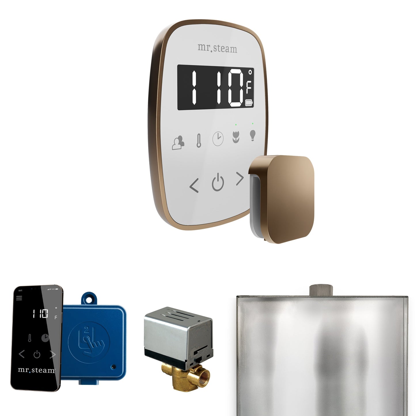 Mr. Steam ButlerFlex Steam Shower Control Package with TempoFlex Control and Aroma Steamhead