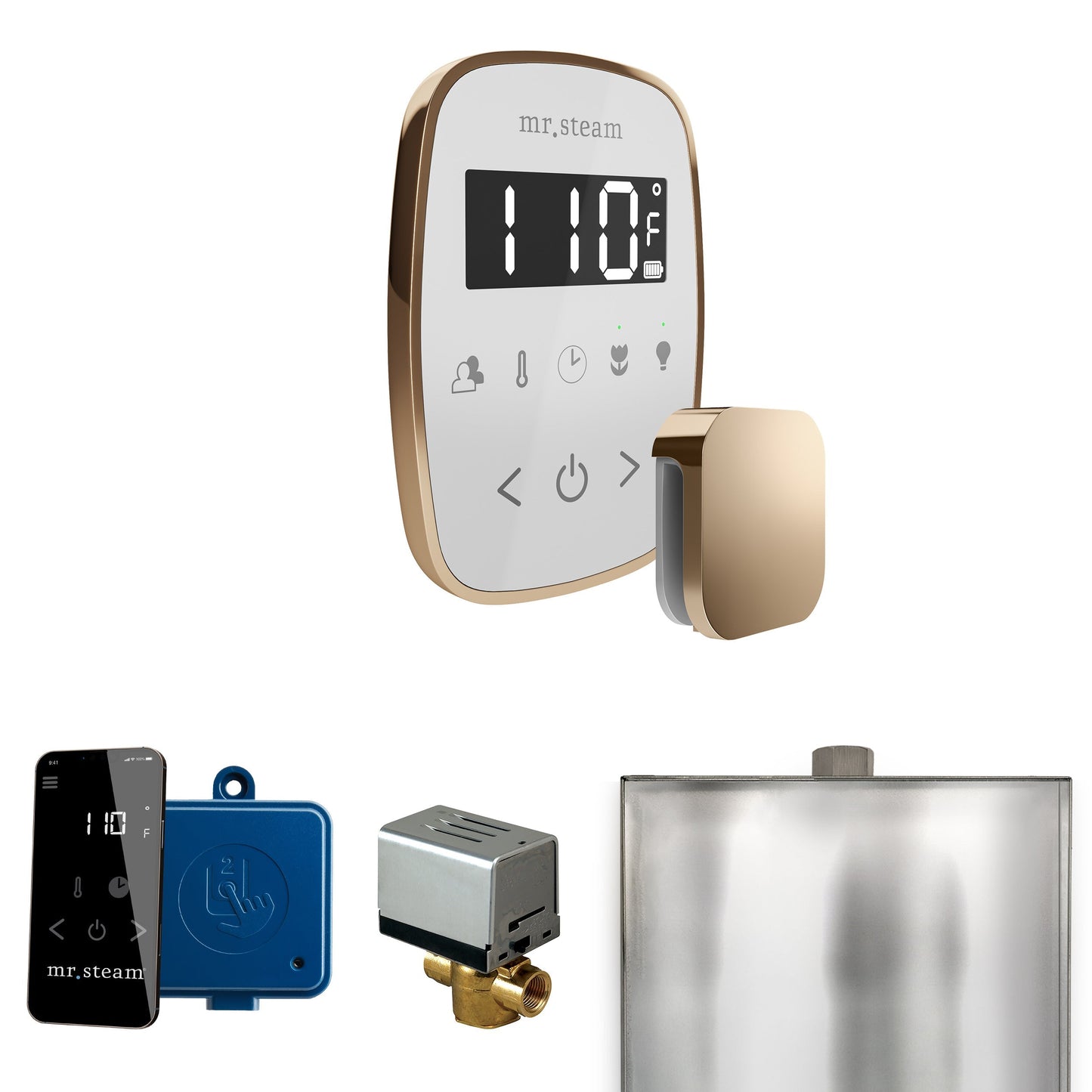 Mr. Steam ButlerFlex Steam Shower Control Package with TempoFlex Control and Aroma Steamhead