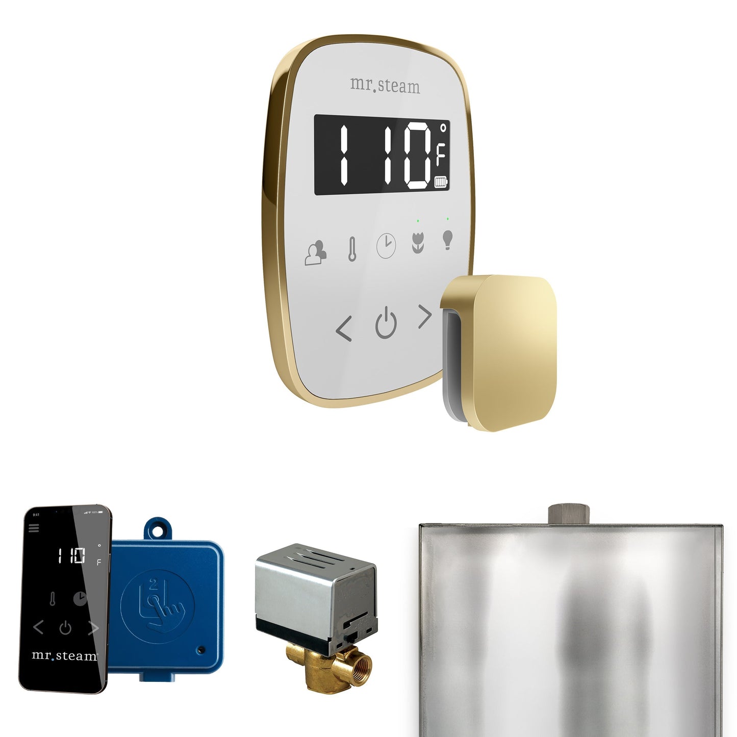 Mr. Steam ButlerFlex Steam Shower Control Package with TempoFlex Control and Aroma Steamhead