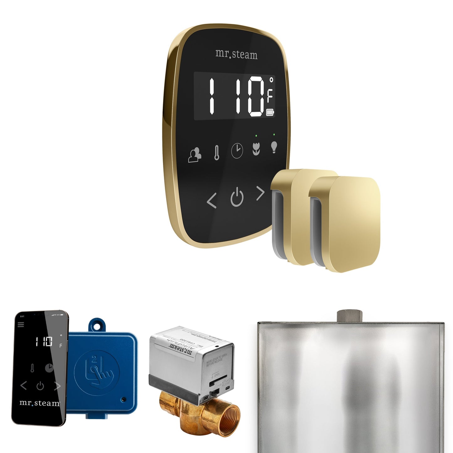Mr. Steam ButlerFlex Max Steam Shower Control Package with TempoFlex Control and Aroma Steamhead
