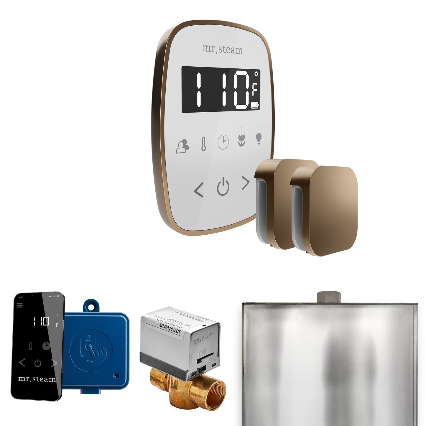 Mr. Steam ButlerFlex Max Steam Shower Control Package with TempoFlex Control and Aroma Steamhead