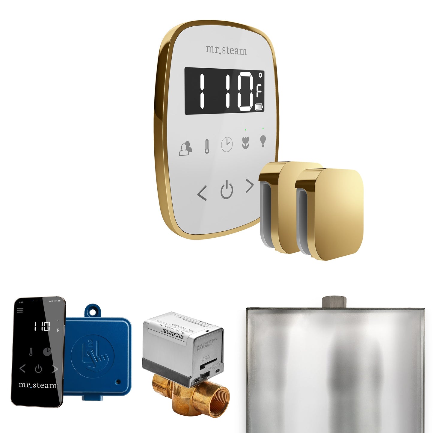 Mr. Steam ButlerFlex Max Steam Shower Control Package with TempoFlex Control and Aroma Steamhead