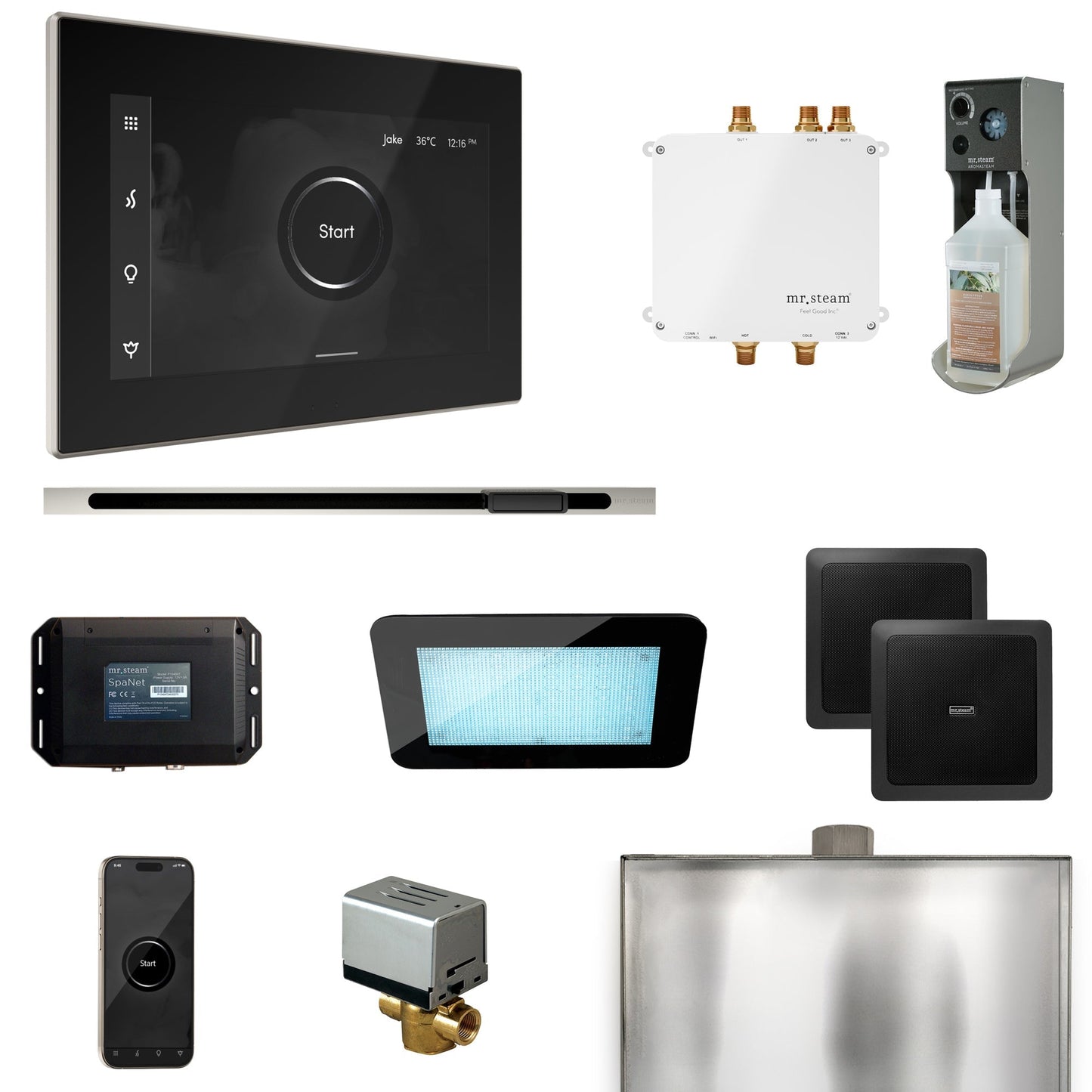Mr. Steam Bliss Steam Shower Control Package with iSteamX Control and Linear Steamhead