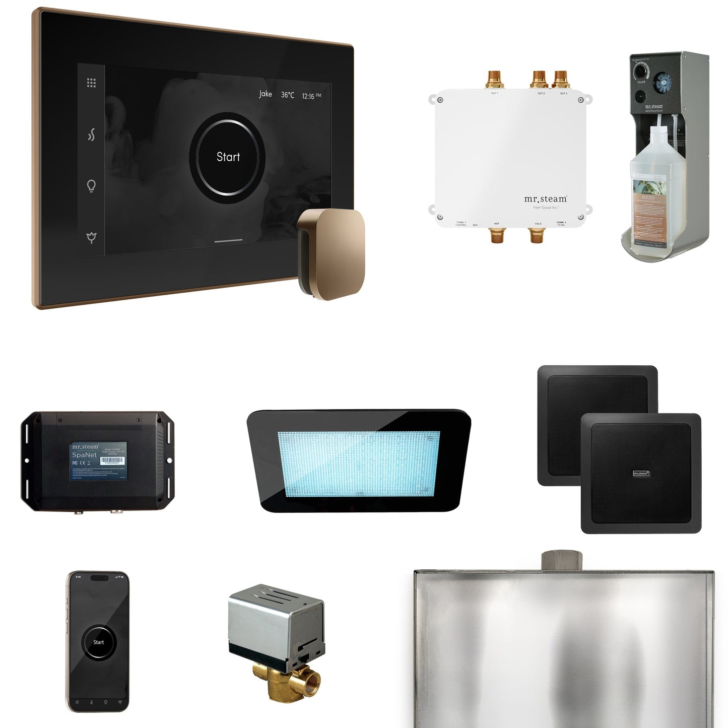 Mr. Steam Bliss Steam Shower Control Package with iSteamX Control and Steamhead