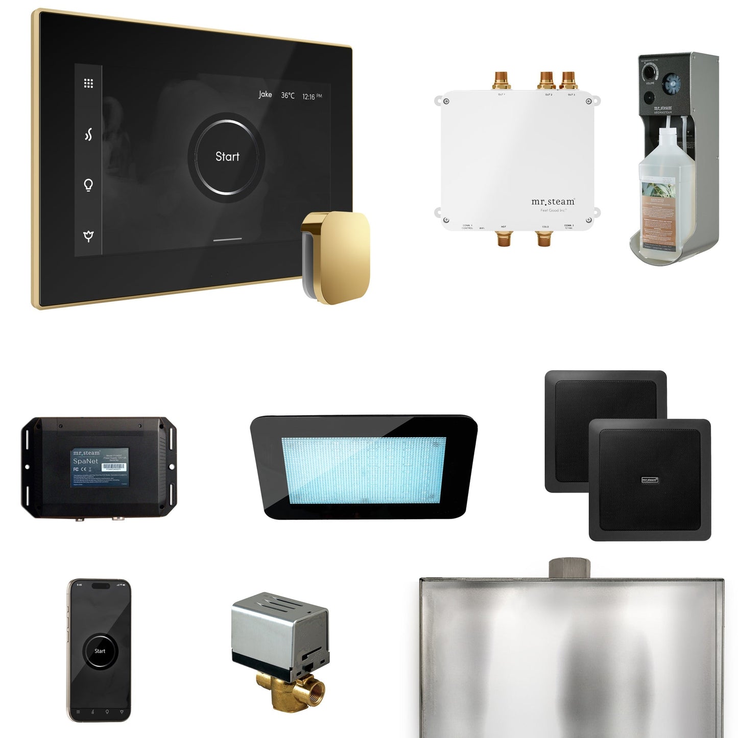 Mr. Steam Bliss Steam Shower Control Package with iSteamX Control and Steamhead