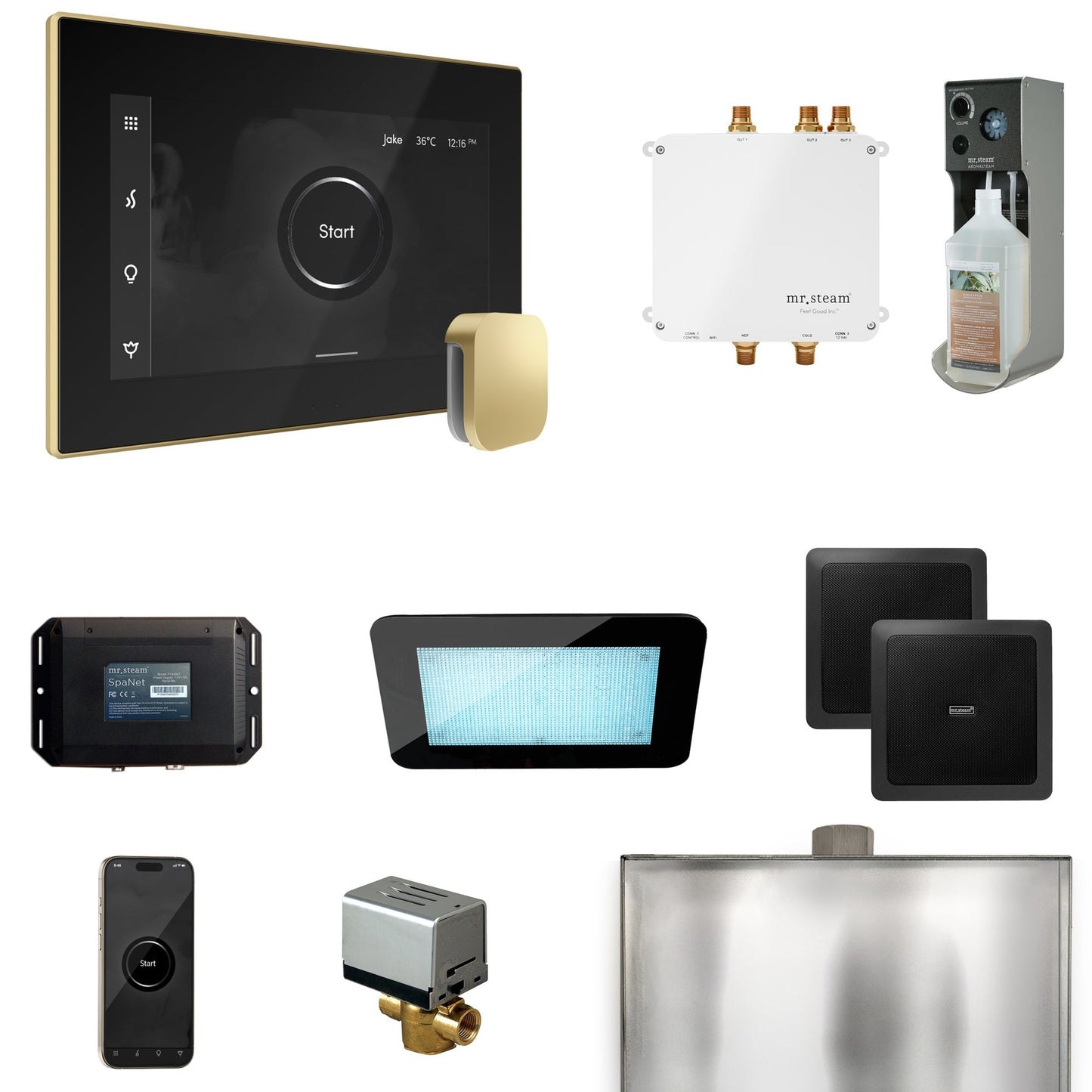 Mr. Steam Bliss Steam Shower Control Package with iSteamX Control and Steamhead