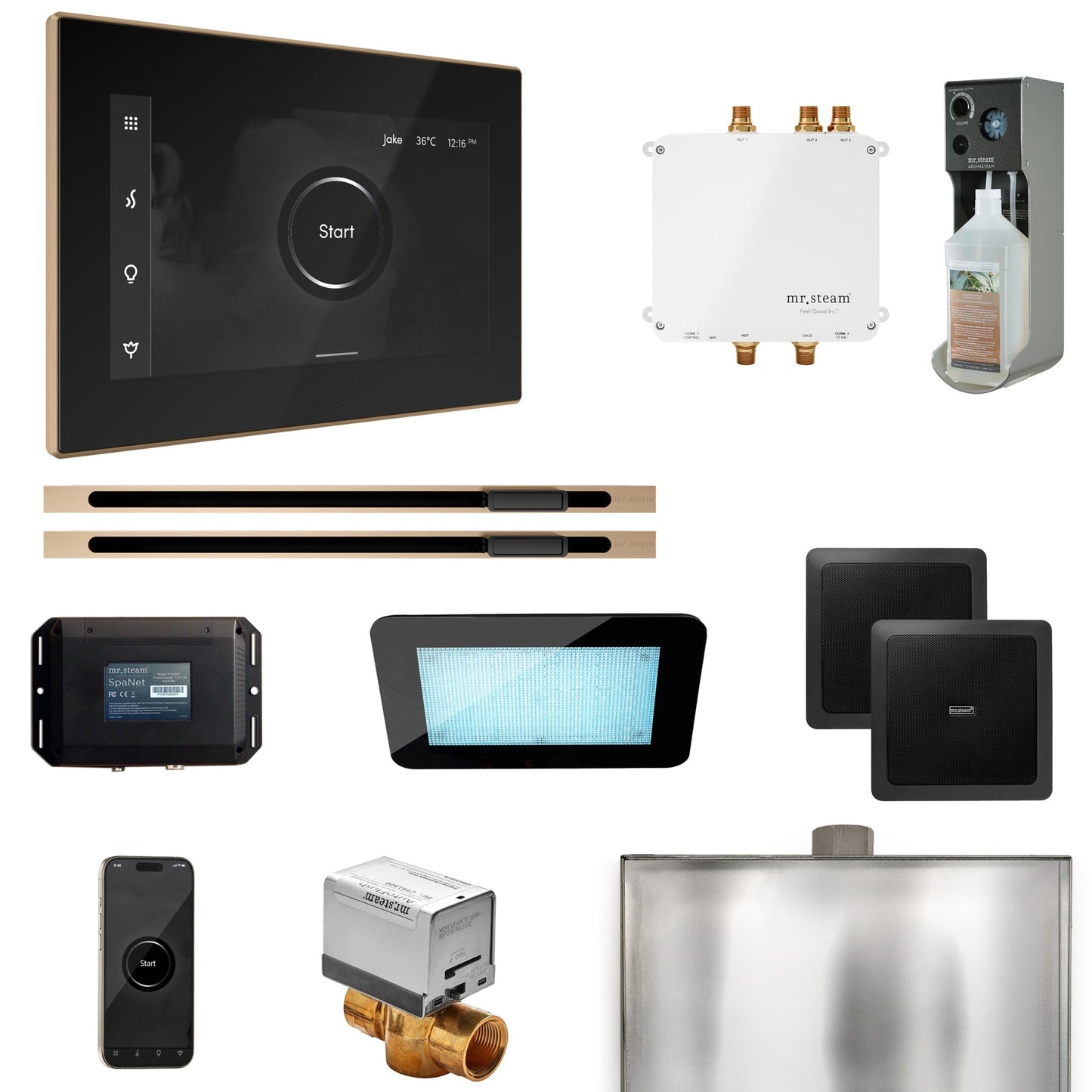 Mr. Steam Bliss Max Steam Shower Control Package with iSteamX Control and Linear Steamhead