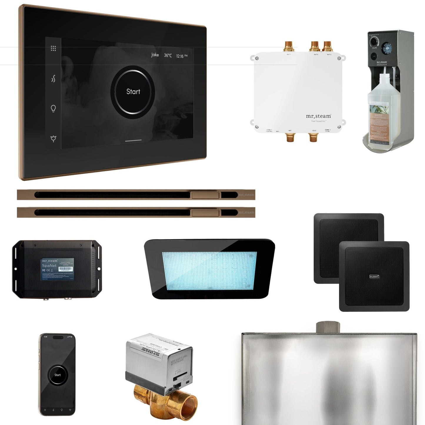 Mr. Steam Bliss Max Steam Shower Control Package with iSteamX Control and Linear Steamhead