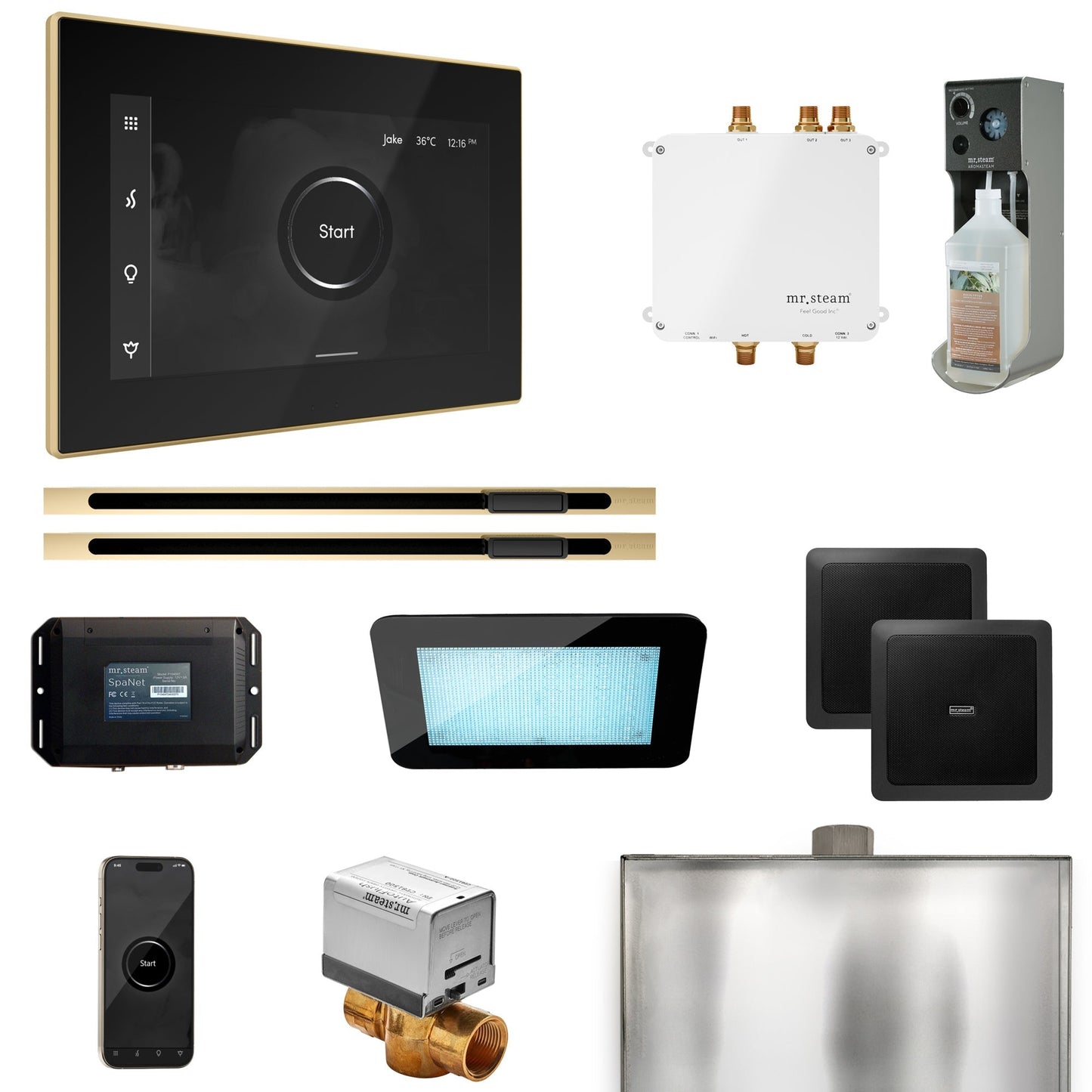 Mr. Steam Bliss Max Steam Shower Control Package with iSteamX Control and Linear Steamhead