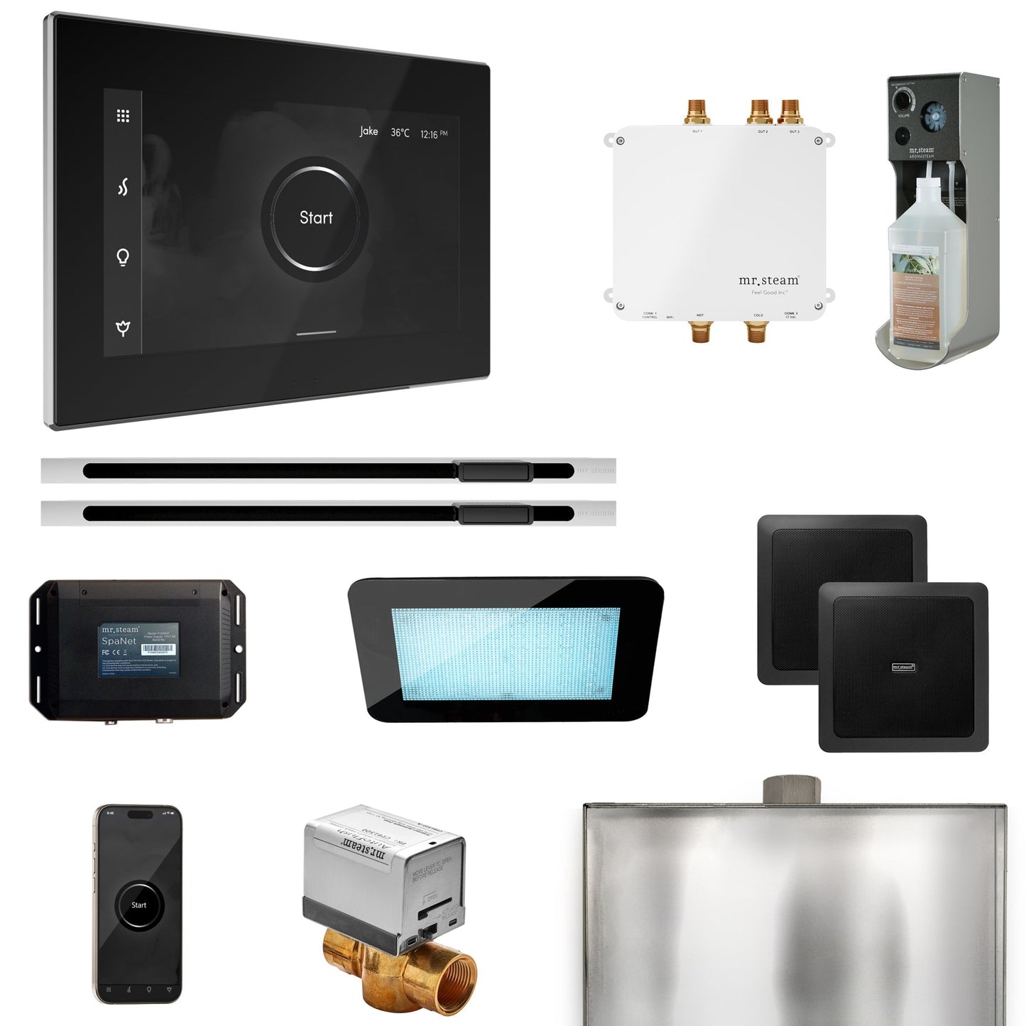 Mr. Steam Bliss Max Steam Shower Control Package with iSteamX Control and Linear Steamhead