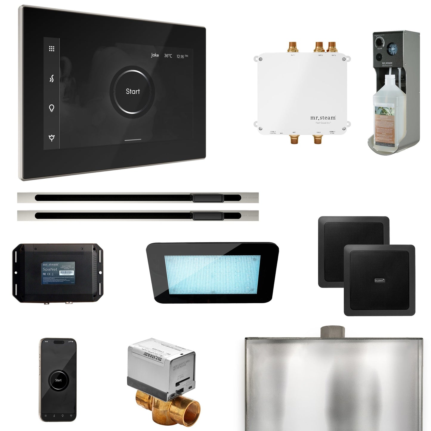 Mr. Steam Bliss Max Steam Shower Control Package with iSteamX Control and Linear Steamhead