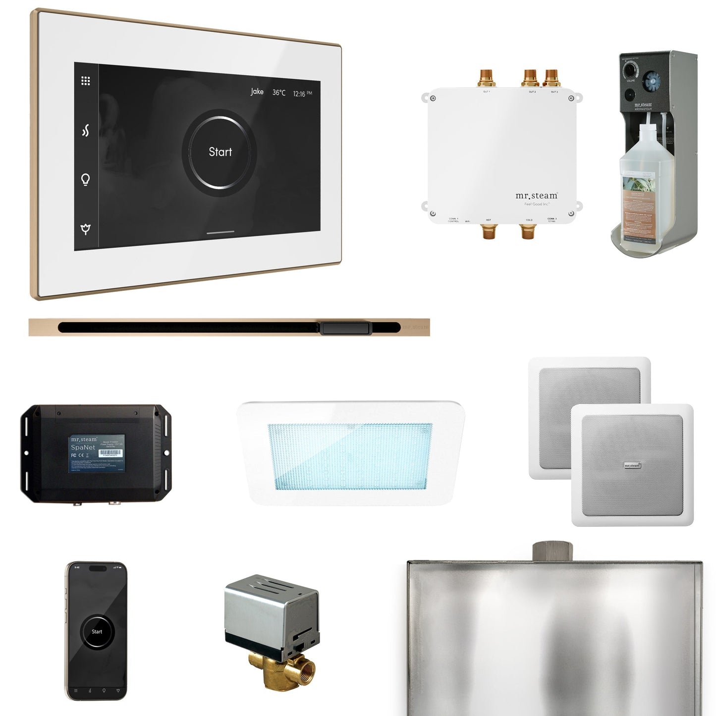 Mr. Steam Bliss Steam Shower Control Package with iSteamX Control and Linear Steamhead