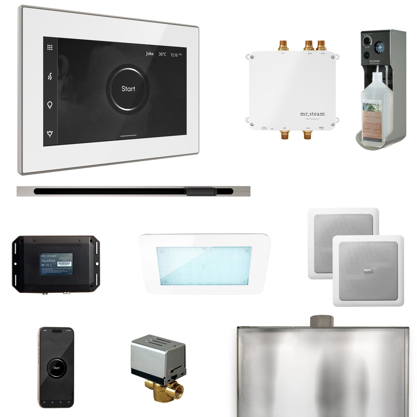 Mr. Steam Bliss Steam Shower Control Package with iSteamX Control and Linear Steamhead