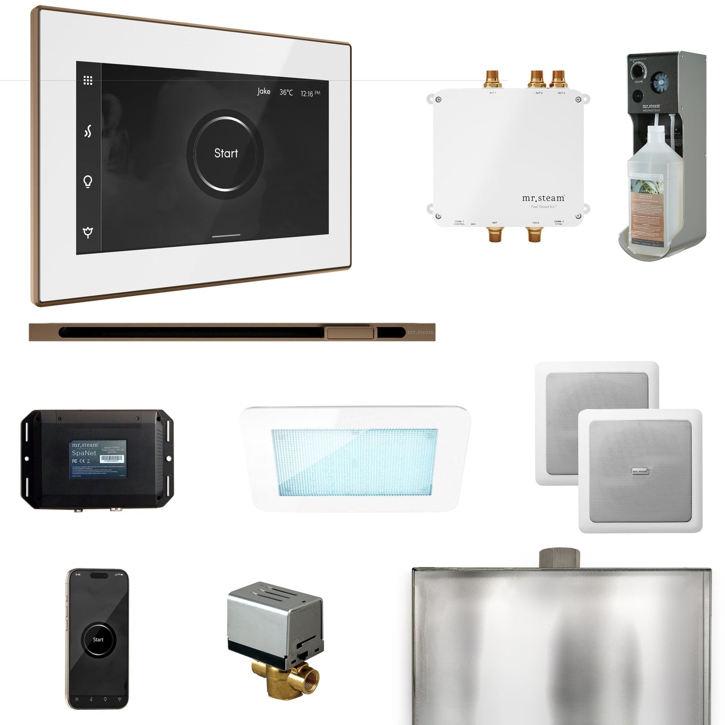 Mr. Steam Bliss Steam Shower Control Package with iSteamX Control and Linear Steamhead