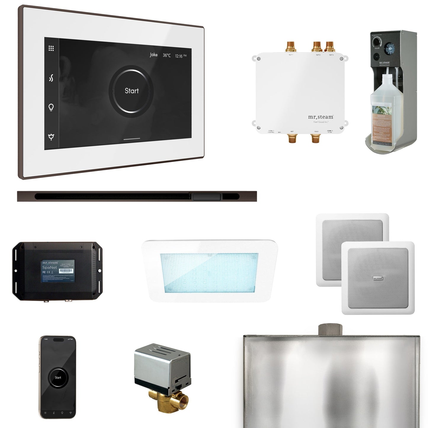 Mr. Steam Bliss Steam Shower Control Package with iSteamX Control and Linear Steamhead
