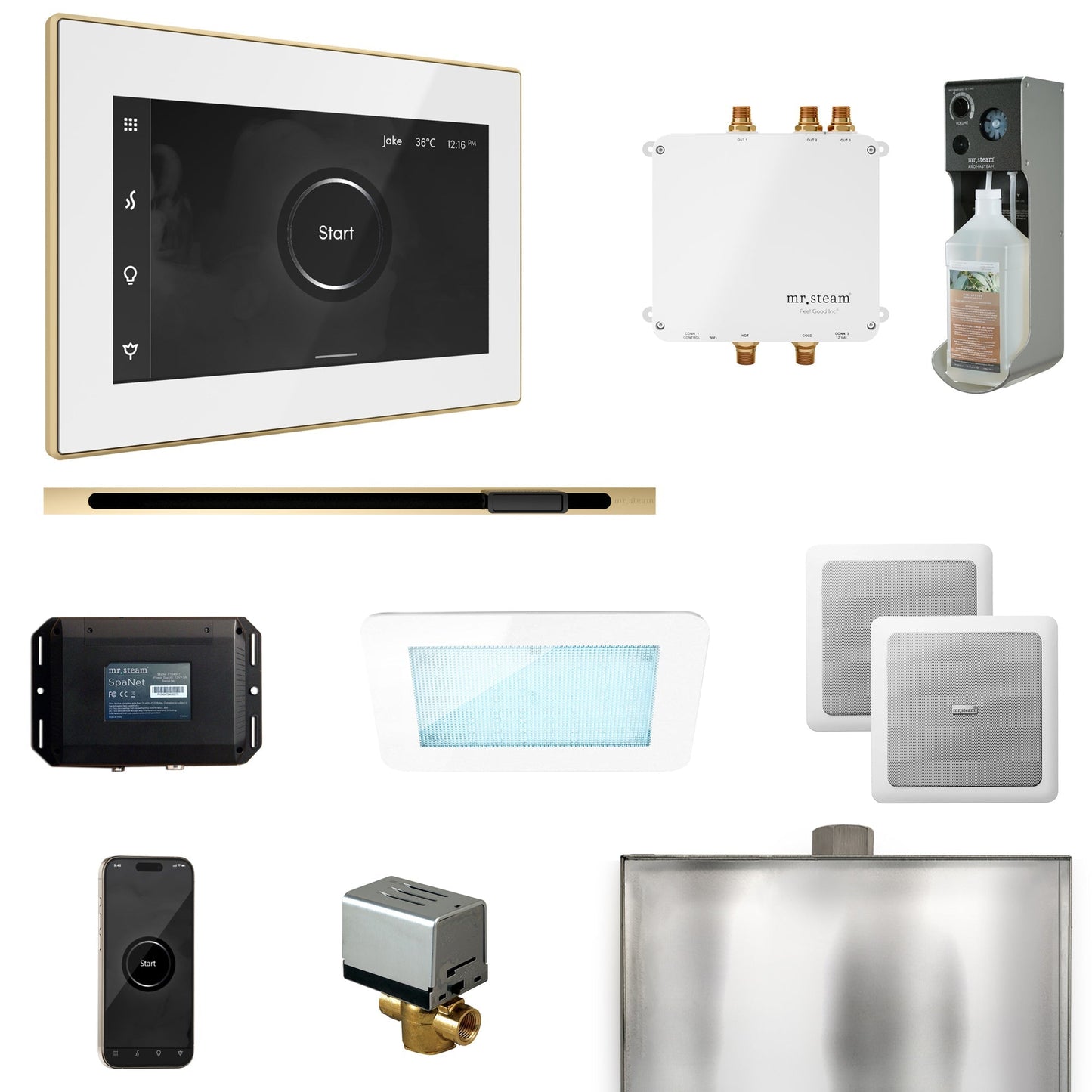 Mr. Steam Bliss Steam Shower Control Package with iSteamX Control and Linear Steamhead
