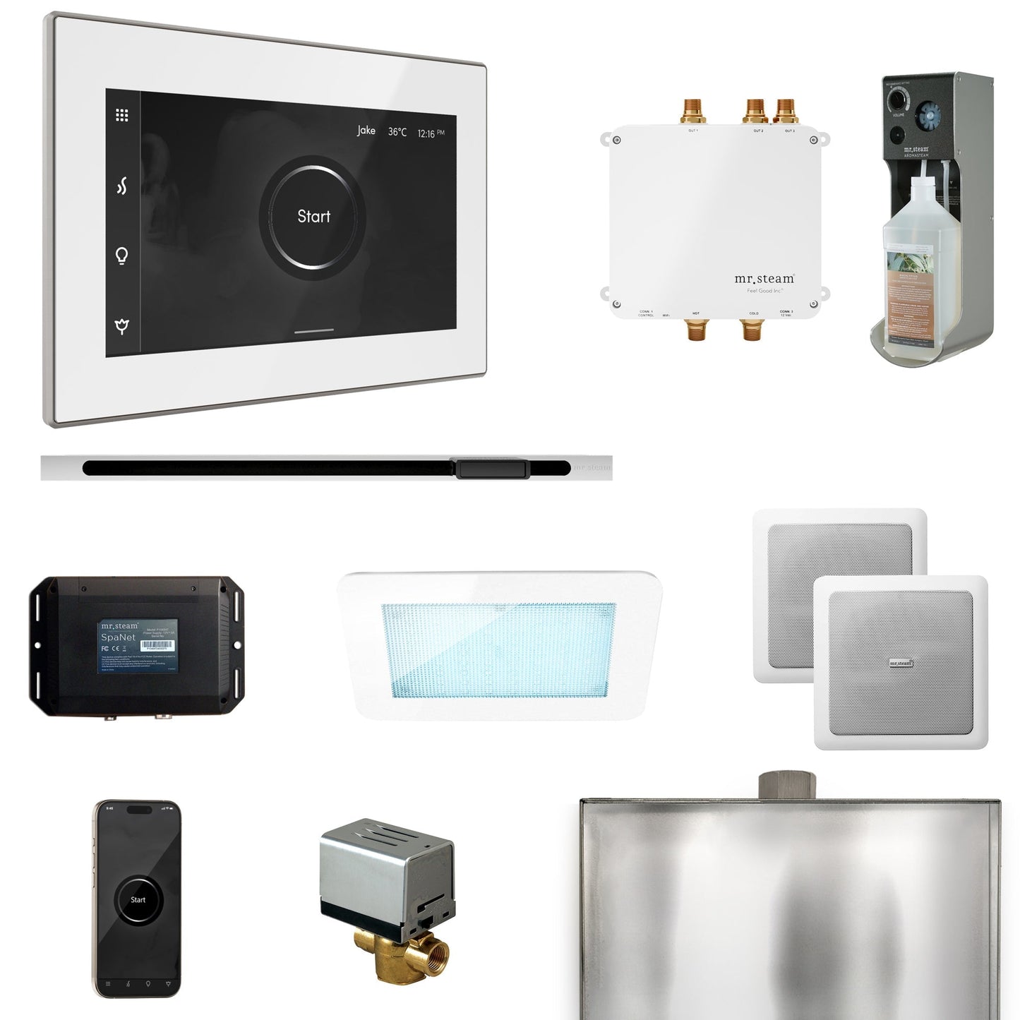 Mr. Steam Bliss Steam Shower Control Package with iSteamX Control and Linear Steamhead