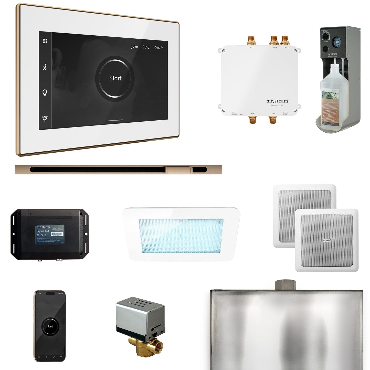Mr. Steam Bliss Steam Shower Control Package with iSteamX Control and Linear Steamhead