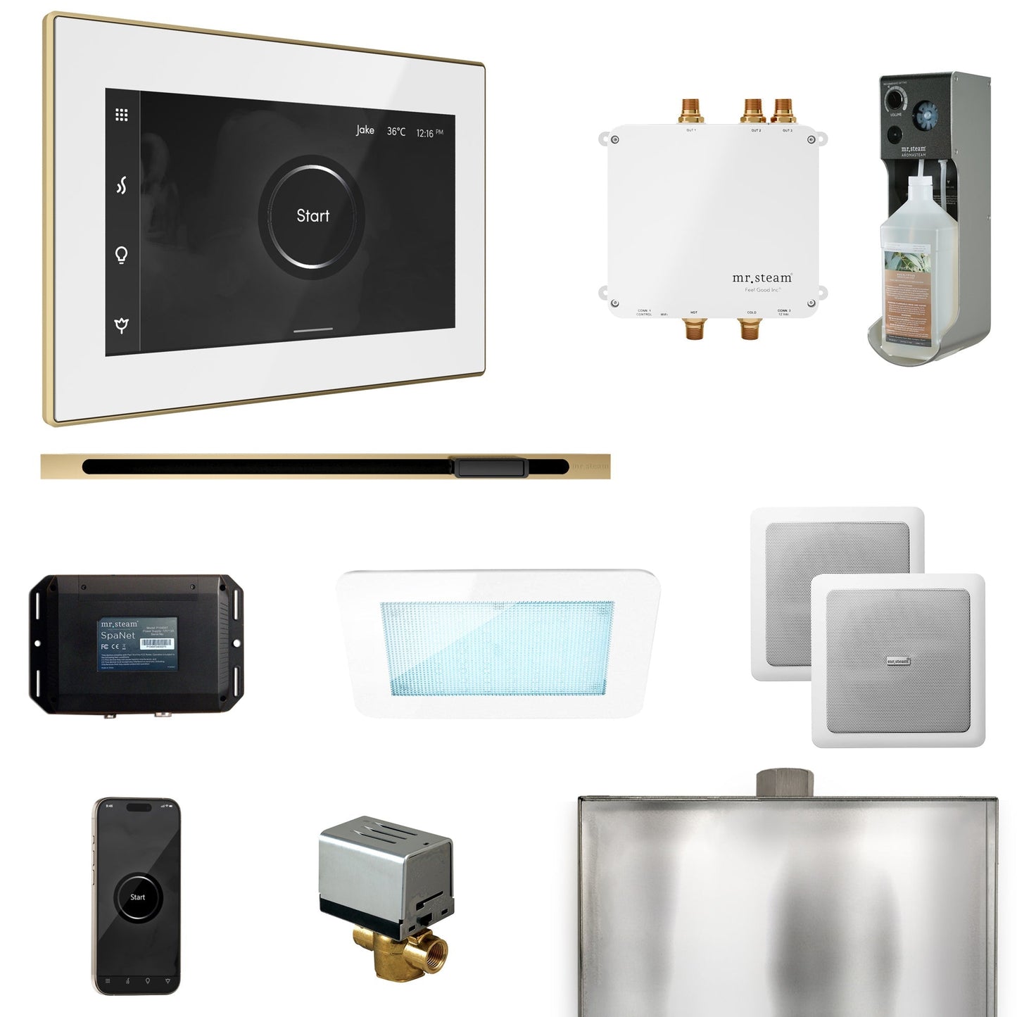 Mr. Steam Bliss Steam Shower Control Package with iSteamX Control and Linear Steamhead