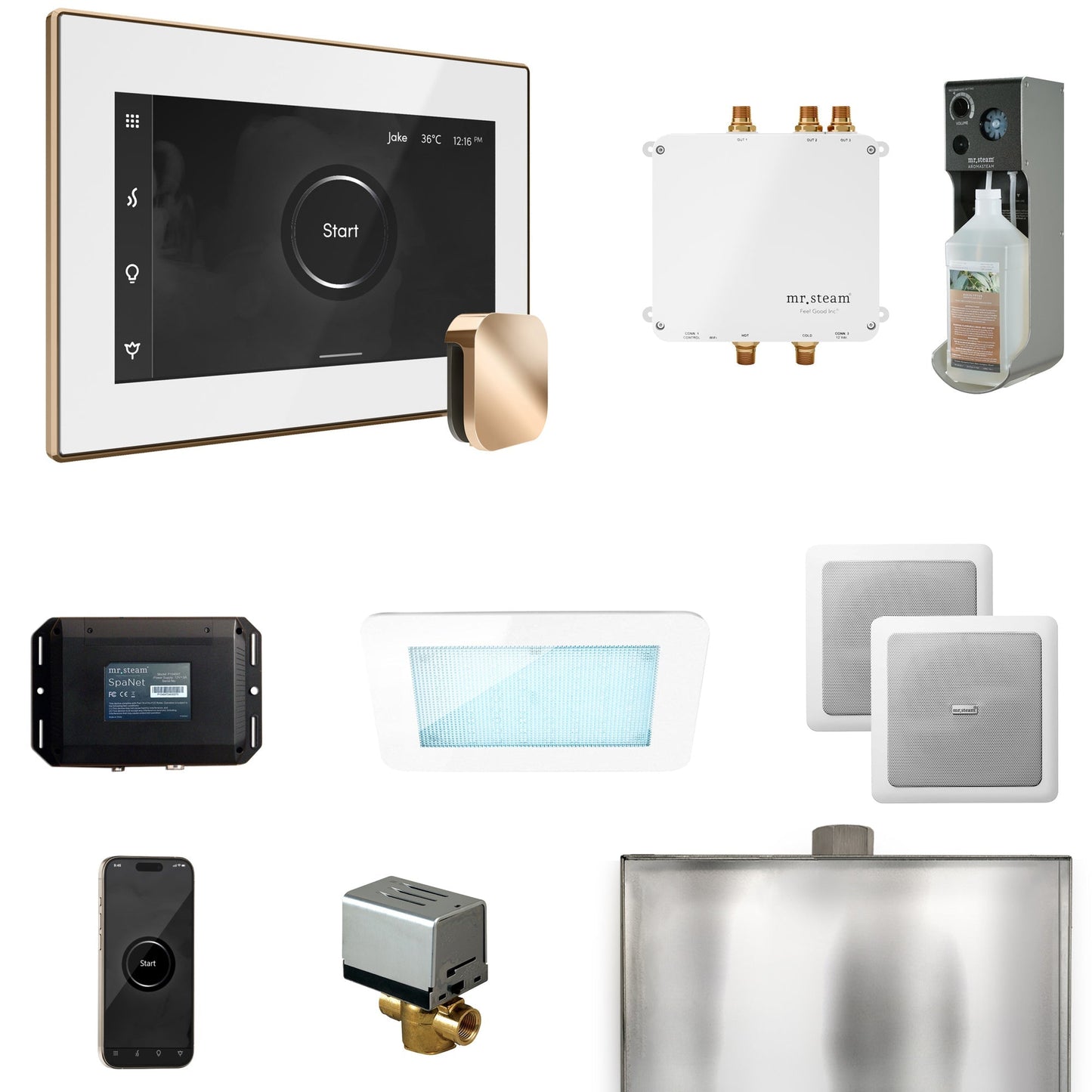 Mr. Steam Bliss Steam Shower Control Package with iSteamX Control and Steamhead