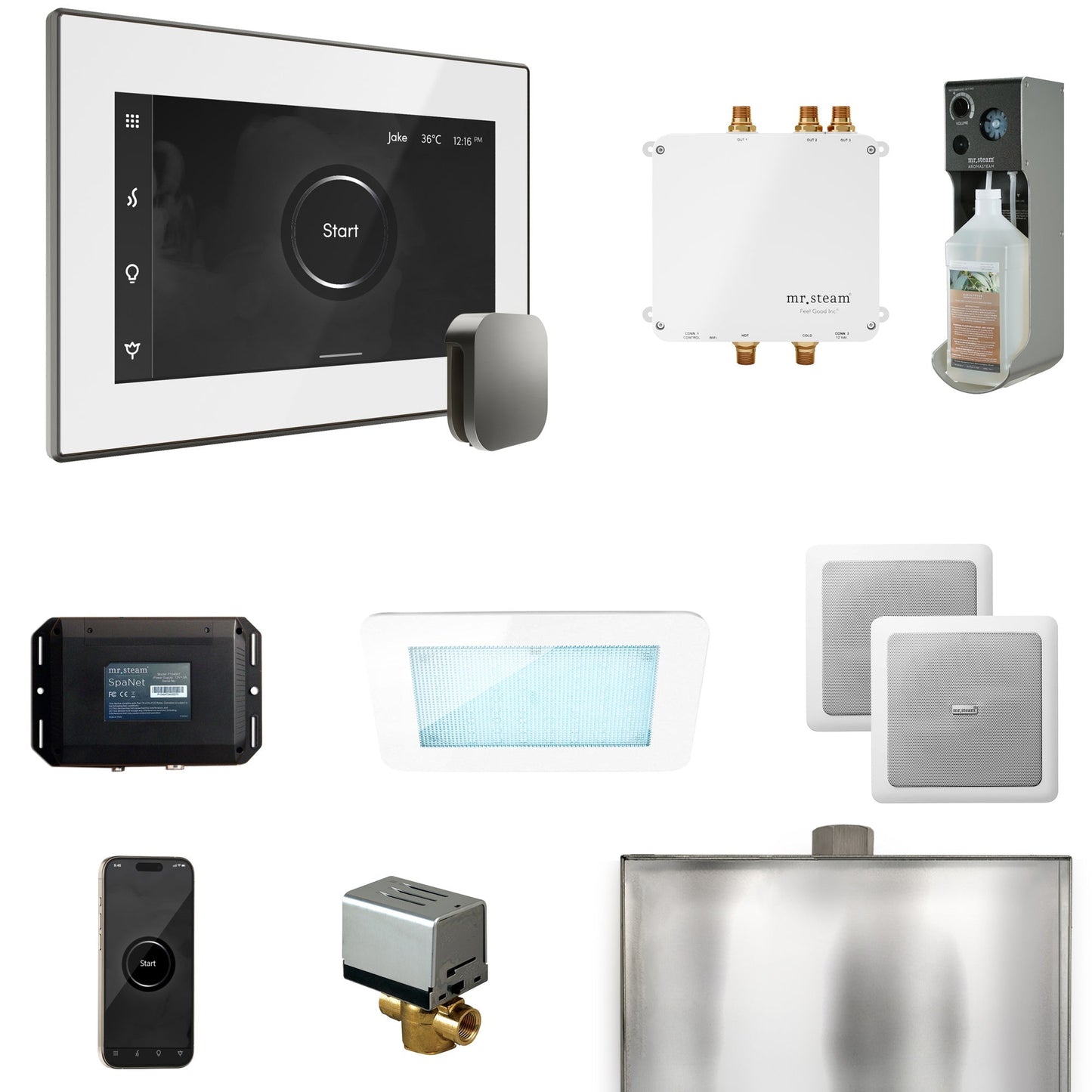 Mr. Steam Bliss Steam Shower Control Package with iSteamX Control and Steamhead