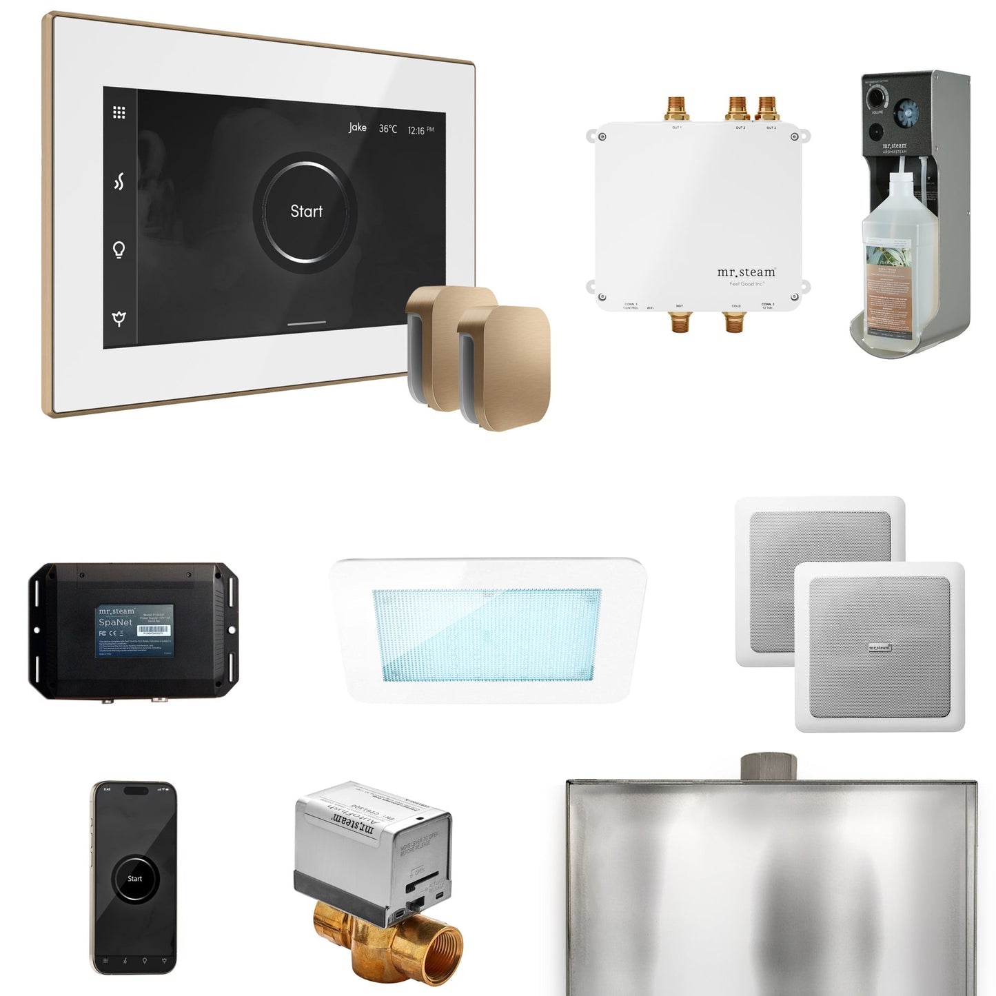 Mr. Steam Bliss Max Steam Shower Control Package with iSteamX Control and Steamhead
