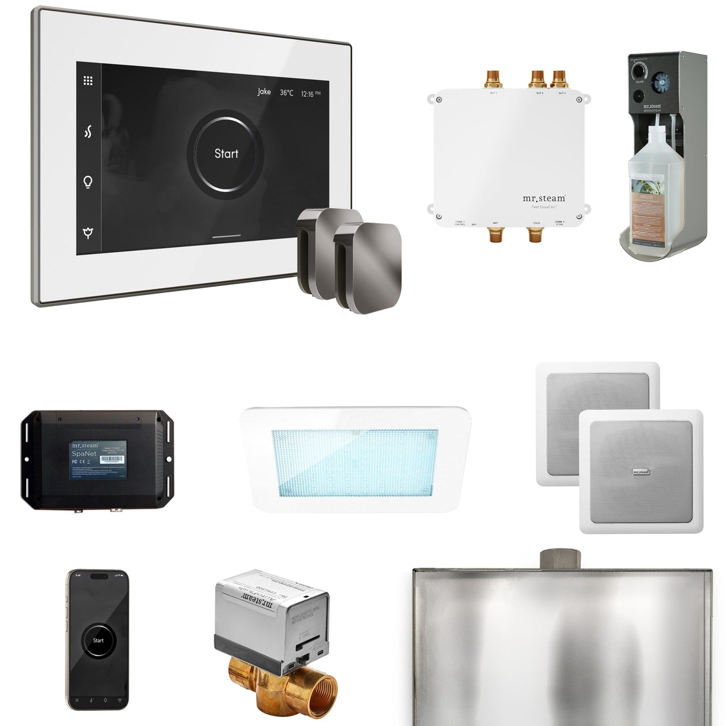 Mr. Steam Bliss Max Steam Shower Control Package with iSteamX Control and Steamhead