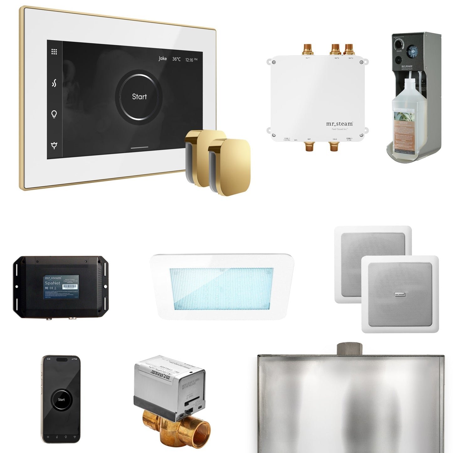 Mr. Steam Bliss Max Steam Shower Control Package with iSteamX Control and Steamhead