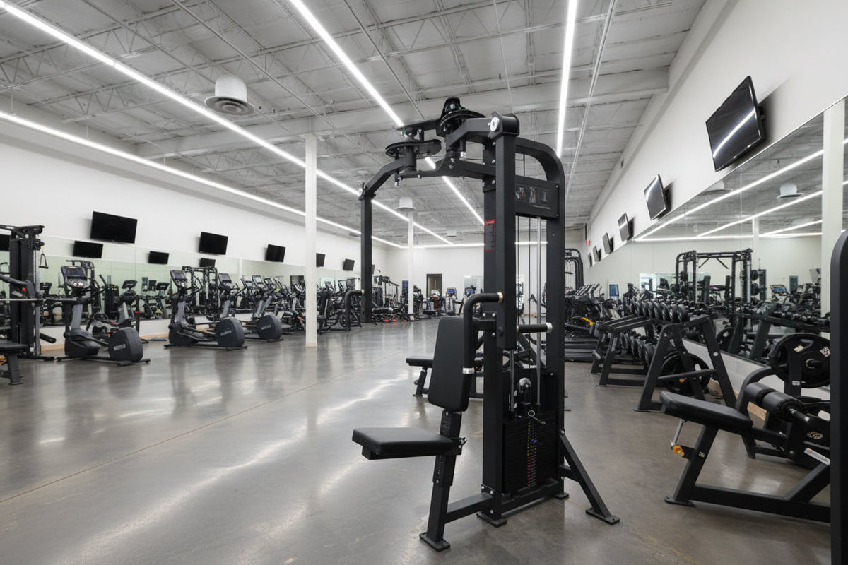 SFE Selectorized Pec Fly & Rear Delt Machine | 250 lb Stack