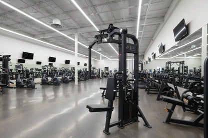 SFE Selectorized Pec Fly & Rear Delt Machine | 250 lb Stack