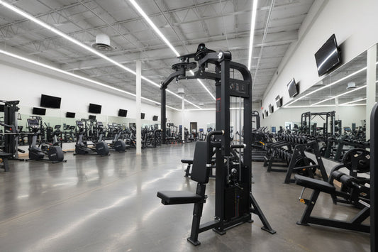 SFE Selectorized Pec Fly & Rear Delt Machine | 250 lb Stack
