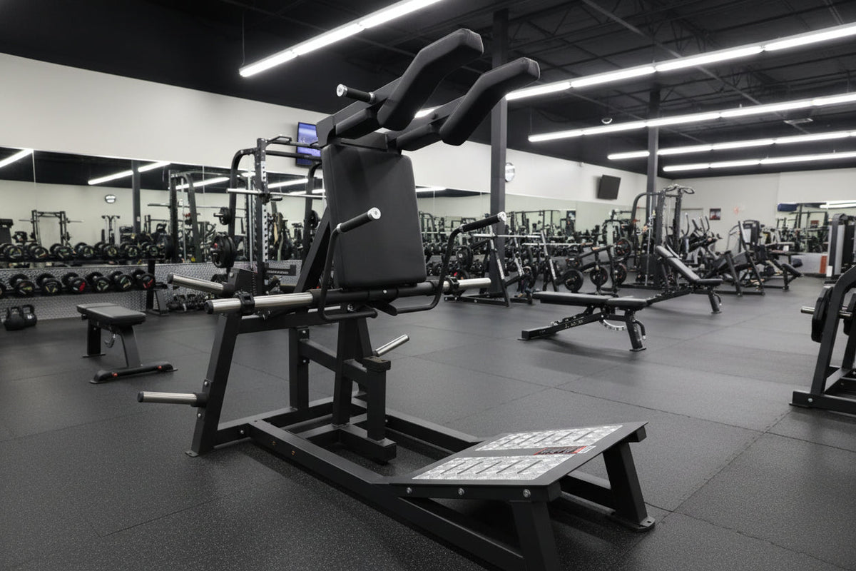 SFE Plate-Loaded Power Squat & Hack Squat Machine