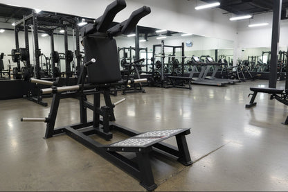SFE Plate-Loaded Power Squat & Hack Squat Machine