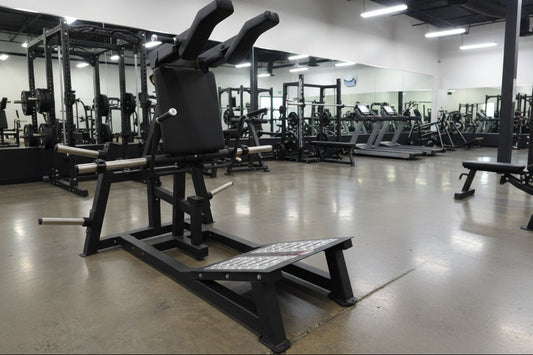 SFE Plate-Loaded Power Squat & Hack Squat Machine