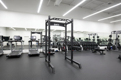 SFE Squat Rack with Safety Bars, Weight Storage & 7 ft Barbell