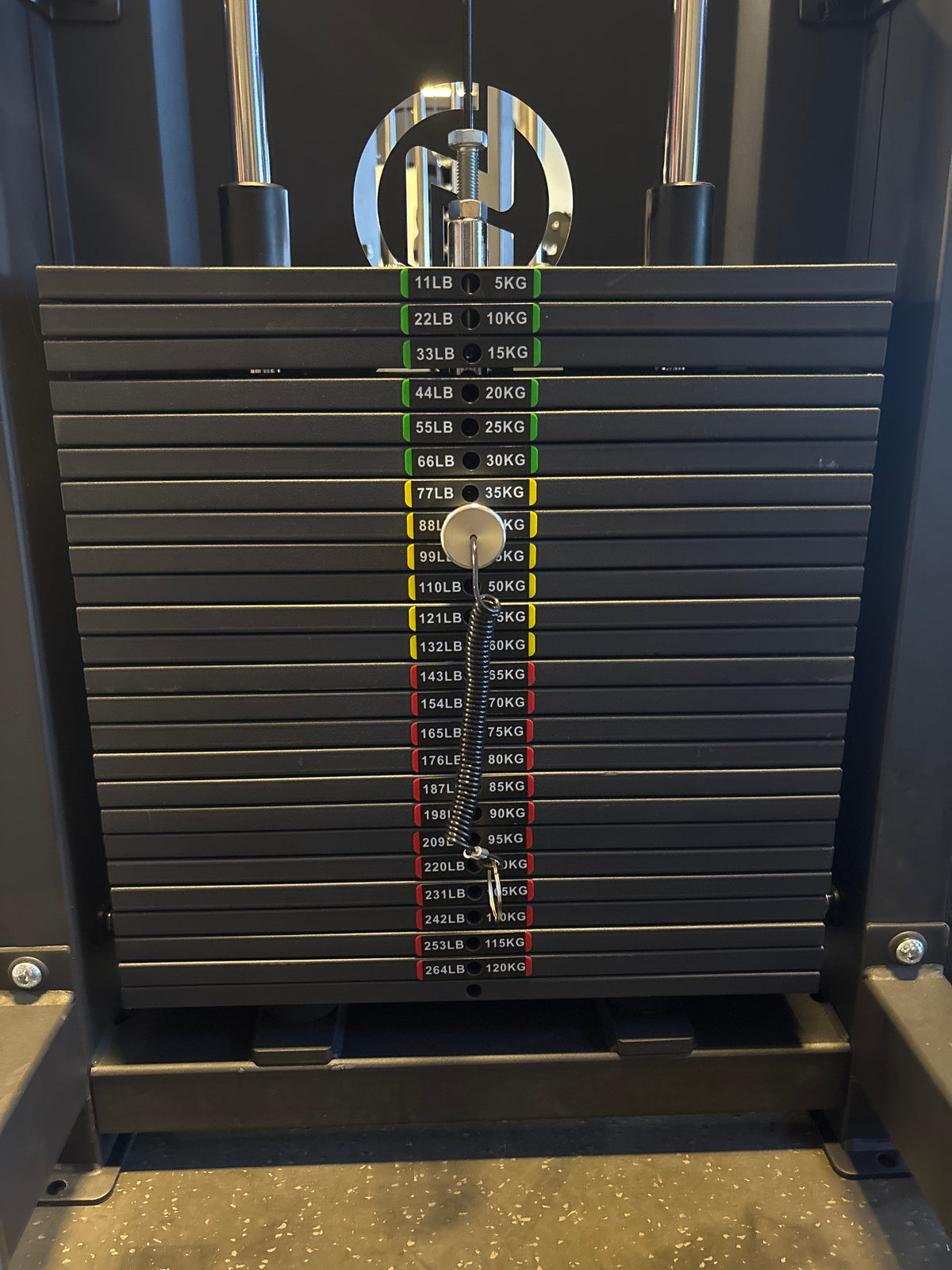 SFE Assisted Chin-Up & Dip Machine with 250 lb Weight Stack