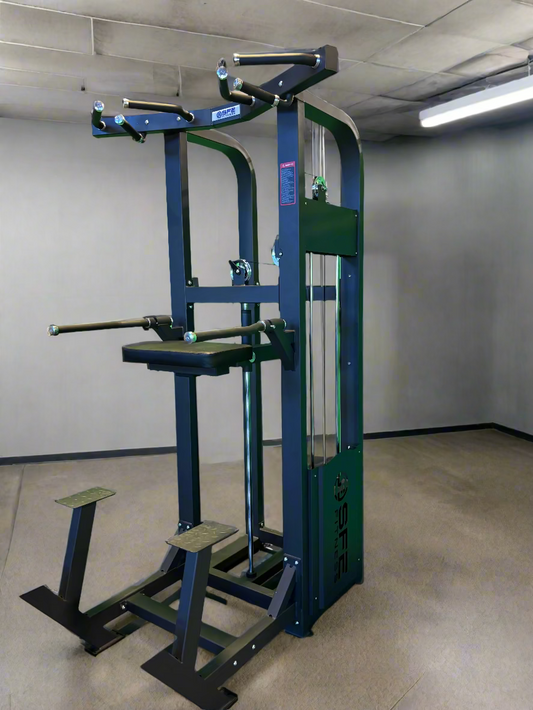 SFE Assisted Chin-Up & Dip Machine with 250 lb Weight Stack