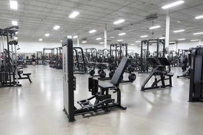SFE Selectorized Hip Abductor & Adductor Machine