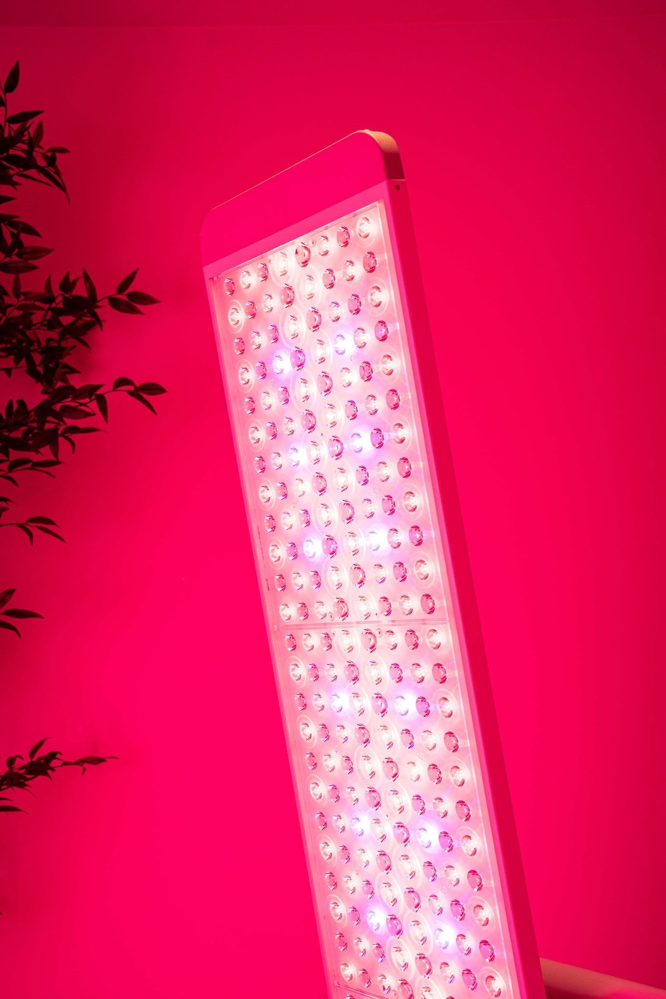 Renew Red Light Panorama Panel – Red, NIR & Blue Light Therapy, Adjustable Stand, Full-Body Coverage