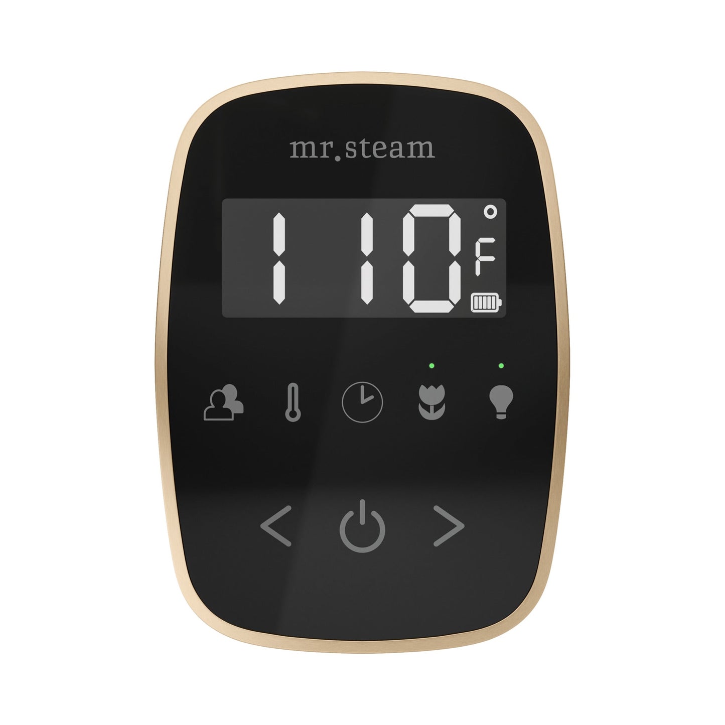 Mr. Steam TempoFlex Steam Shower Control and Steamhead