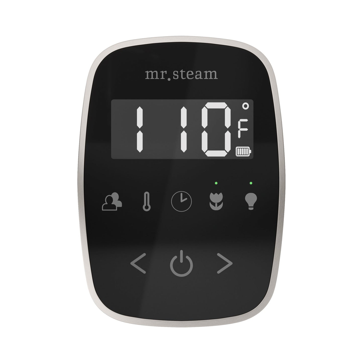 Mr. Steam TempoFlex Steam Shower Control and Steamhead