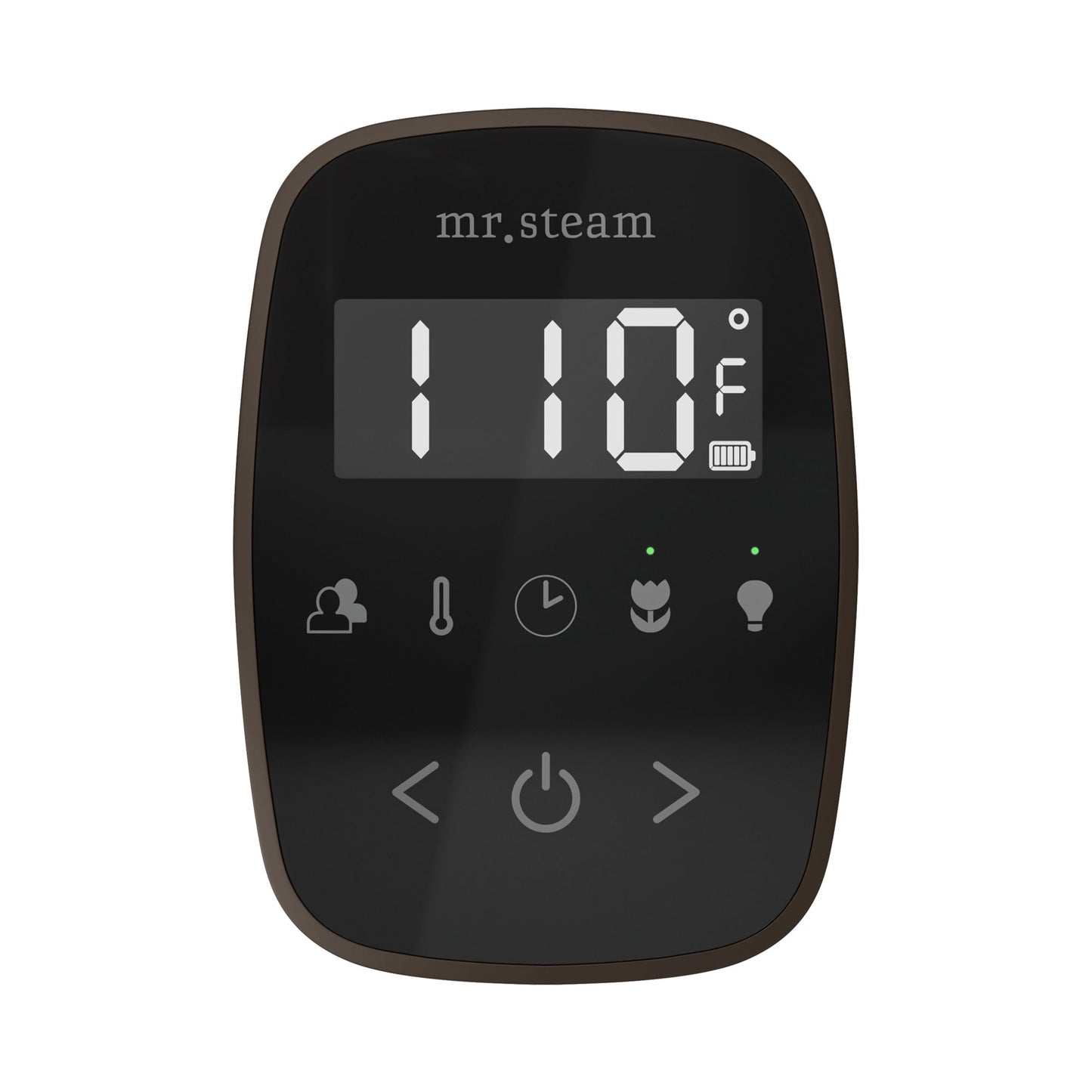 Mr. Steam TempoFlex Steam Shower Control and Steamhead